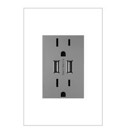 adorne 15 Amp 125-Volt Dual USB Plus-Size Duplex Outlet, Magnesium - 91004632673