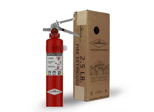 1-A:10-B:C 2.5 lbs. ABC Dry Chemical Fire Extinguisher - 91006603564