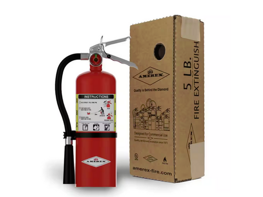 2-A:10-B:C 5 lbs. ABC Dry Chemical Fire Extinguisher - 91006587875