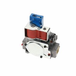 Gas Valve (OEM) - 974402